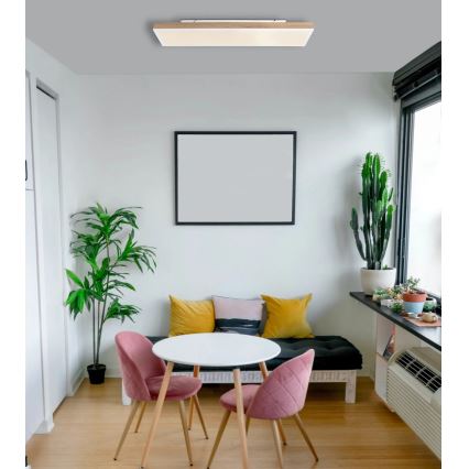 Globo - LED himmennettävä kattovalaisin LED/24W/230V 2700-6500K 20x80 cm + kaukosäädin