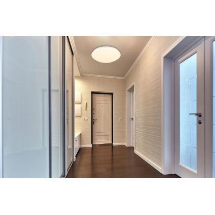 Globo - LED-kattovalaisin LED/18W/230V