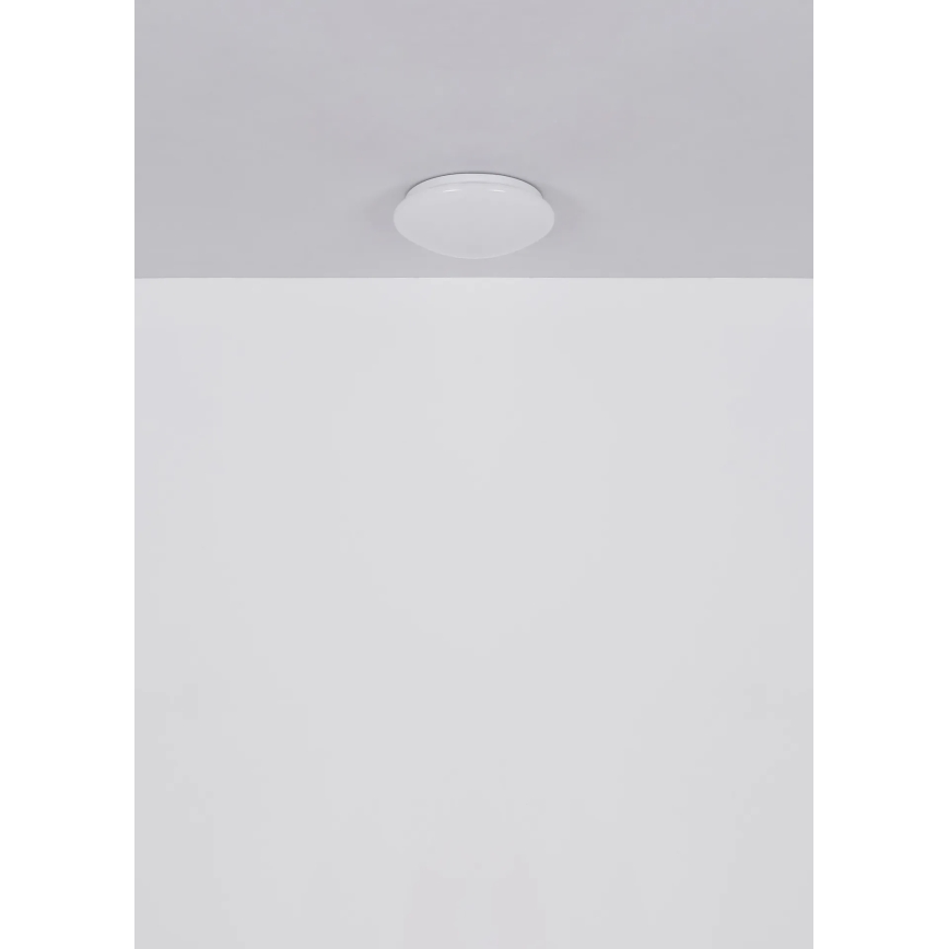 Globo - LED-kattovalaisin 12 W 230 V 4000 K Ø 25,4 cm