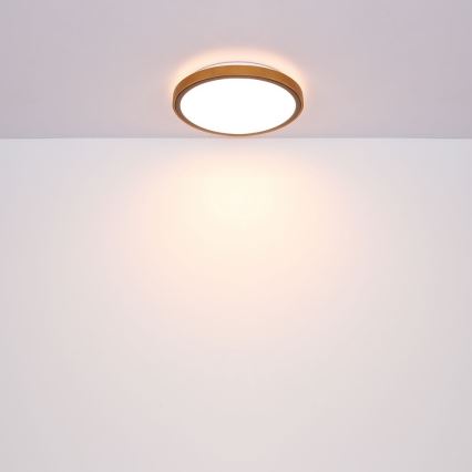 Globo - LED Kattovalo LED/12W/230V 307 mm 3000/4500/6000K