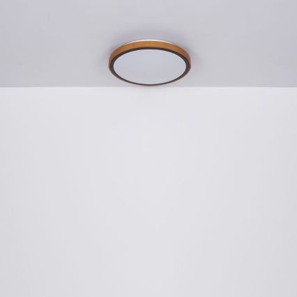 Globo - LED Kattovalo LED/12W/230V 307 mm 3000/4500/6000K