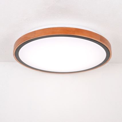 Globo - LED-kattovalaisin LED/24W/230V 3000/4500/6000K halkaisija 43,7 cm