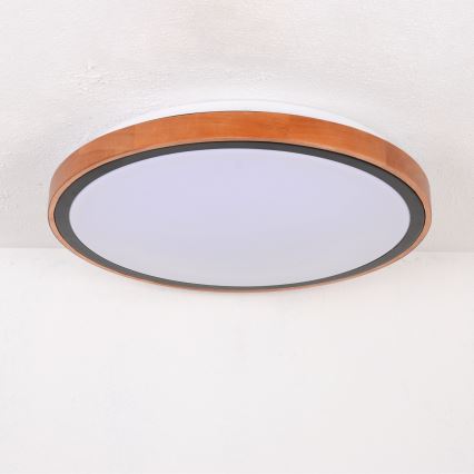 Globo - LED-kattovalaisin LED/24W/230V 3000/4500/6000K halkaisija 43,7 cm