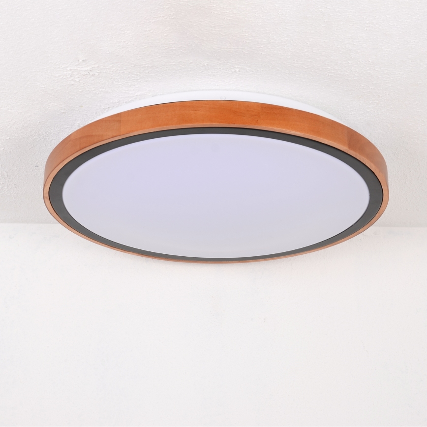 Globo - LED-kattovalaisin LED/24W/230V 3000/4500/6000K halkaisija 43,7 cm