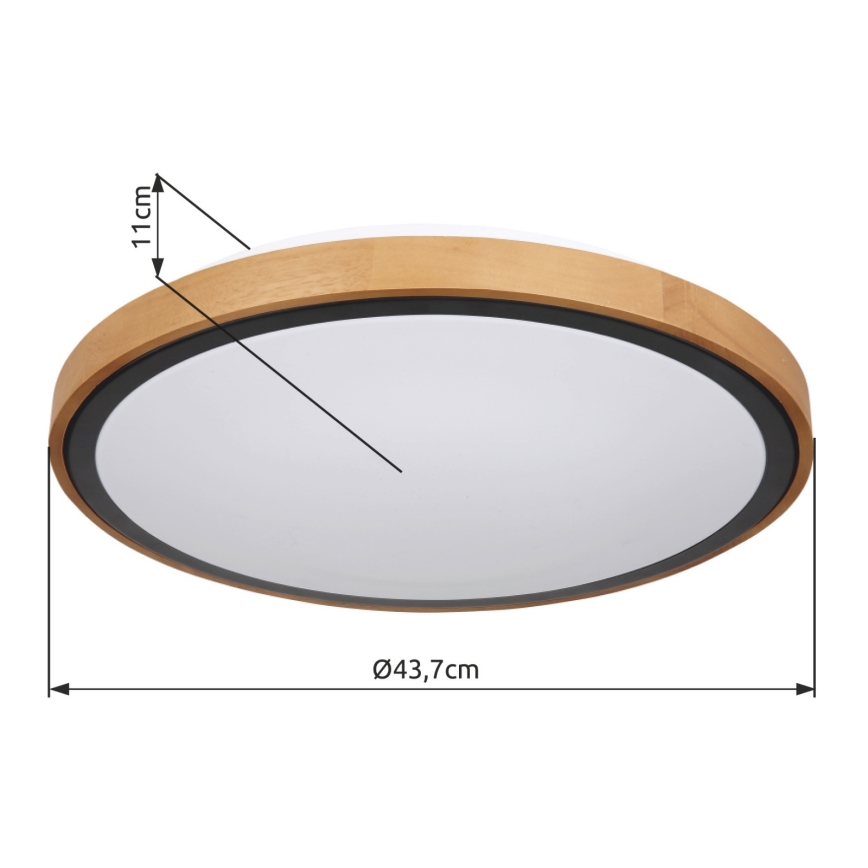 Globo - LED-kattovalaisin LED/24W/230V 3000/4500/6000K halkaisija 43,7 cm