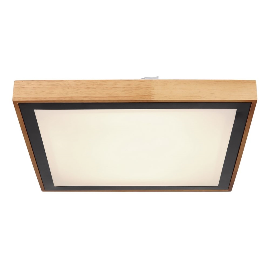 Globo - LED-kattovalaisin LED/24W/230V 3000/4500/6000K