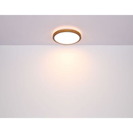 Globo - LED-kattovalaisin LED/12W/230V 3000/4500/6000K halkaisija 30 cm