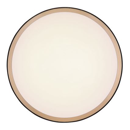 Globo - LED-kattovalaisin LED/12W/230V 3000/4500/6000K halkaisija 30 cm