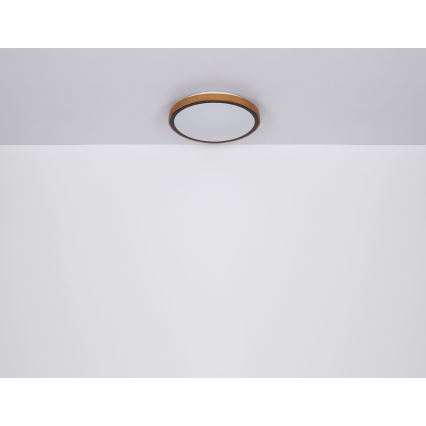 Globo - LED-kattovalaisin LED/24W/230V 3000/4500/6000K halkaisija 42 cm