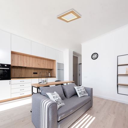 Globo - LED-kattovalaisin LED/23W/230V 2700/6500K