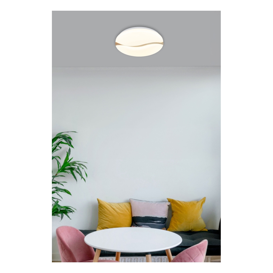 Globo - LED-kattovalaisin LED/24W/230V 3000/4200/6000K halkaisija 39 cm