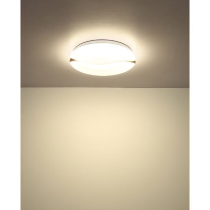 Globo - LED-kattovalaisin LED/24W/230V 3000/4200/6000K halkaisija 39 cm