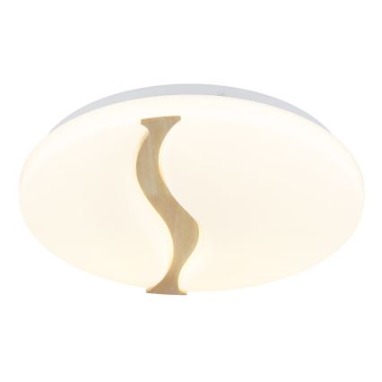 Globo - LED-kattovalaisin LED/24W/230V 3000/4200/6000K halkaisija 39 cm