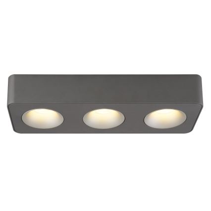 Globo - LED-kattovalaisin LED/14W/230V 11,7x33,2 cm