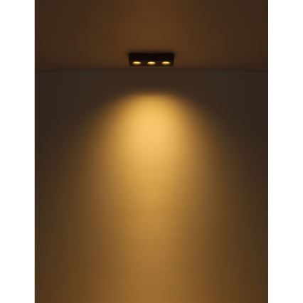 Globo - LED-kattovalaisin LED/14W/230V 11,7x33,2 cm