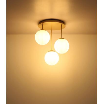 Globo - Pinta-asennettava kattovalaisin 3xE14/25W/230V messinki