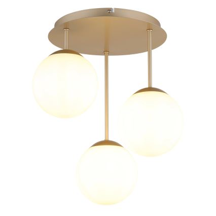 Globo - Pinta-asennettava kattovalaisin 3xE14/25W/230V messinki