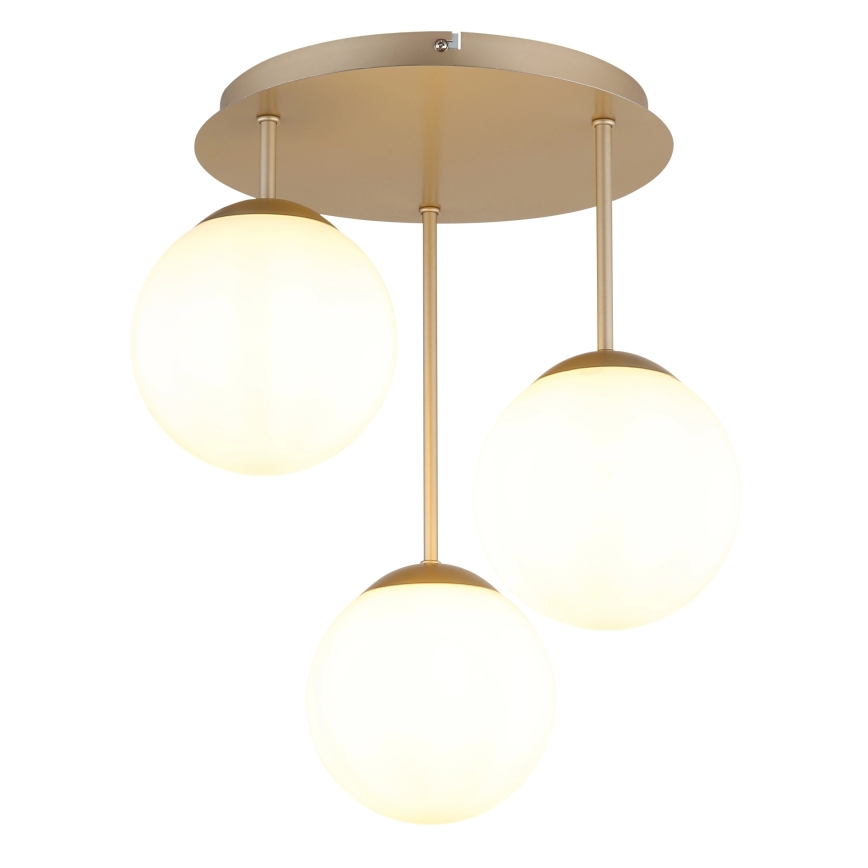 Globo - Pinta-asennettava kattovalaisin 3xE14/25W/230V messinki