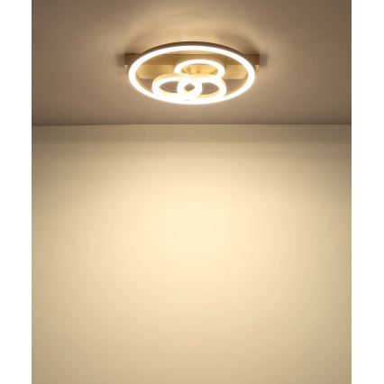 Globo - LED Himennettävä kattovalaisin LED/40W/230V 2700-6500K halkaisija 35x33 cm beige + kaukosäädin