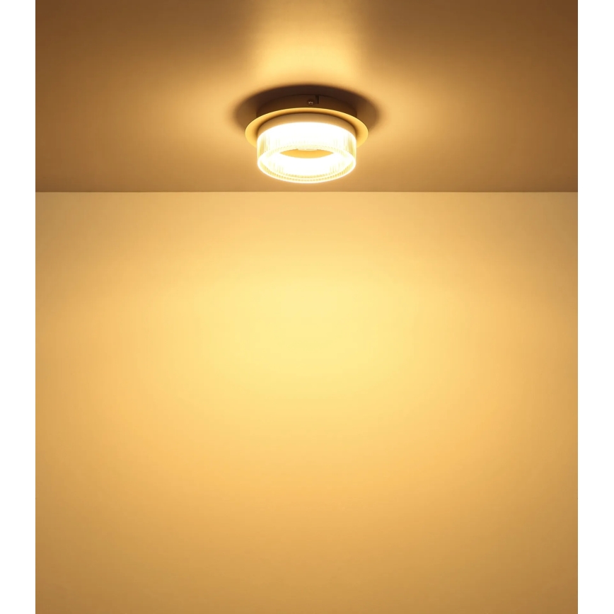 Globo - LED-kattovalaisin LED/8W/230V 3000K Ø 16 cm