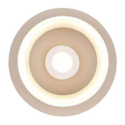 Globo - LED-kattovalaisin LED/8W/230V 3000K Ø 16 cm