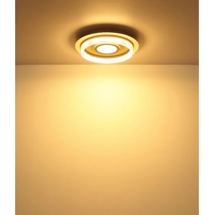 Globo - LED-kattovalaisin LED/24W/230V 3000K halkaisija 40 cm