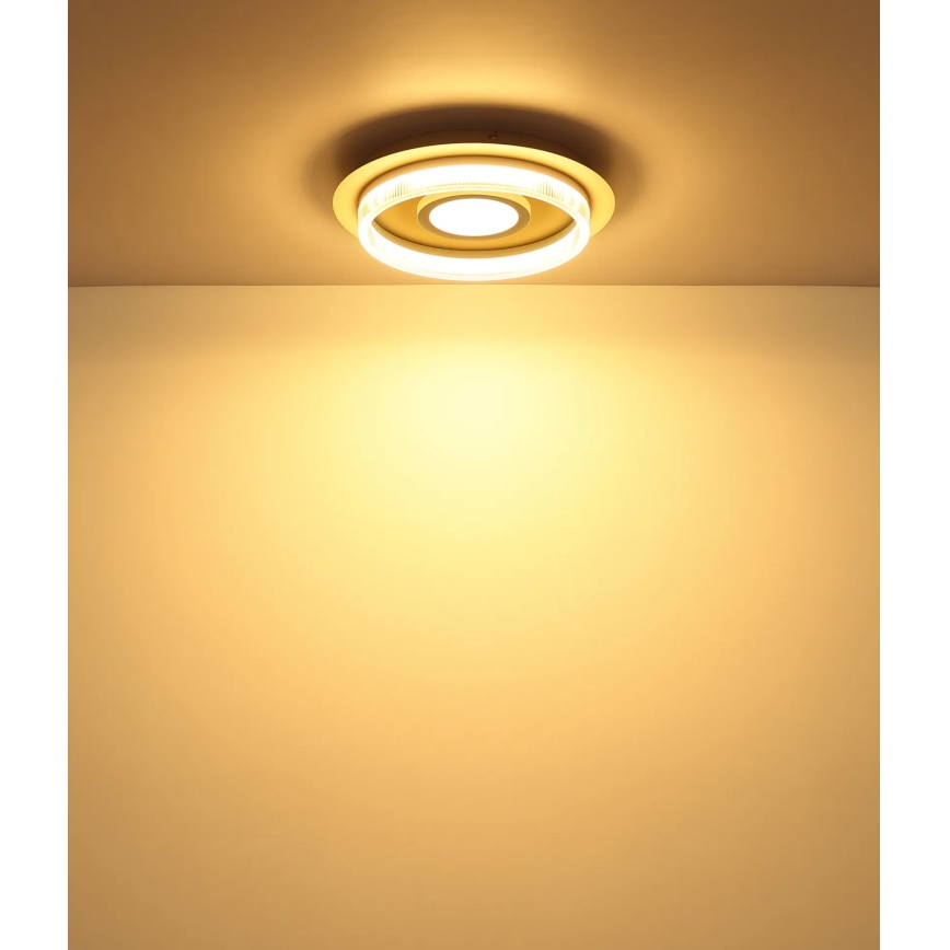 Globo - LED-kattovalaisin LED/24W/230V 3000K halkaisija 40 cm