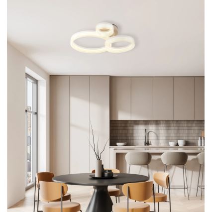 Globo - LED-kattovalaisin LED/24W/230V 3000K 40,5x51 cm