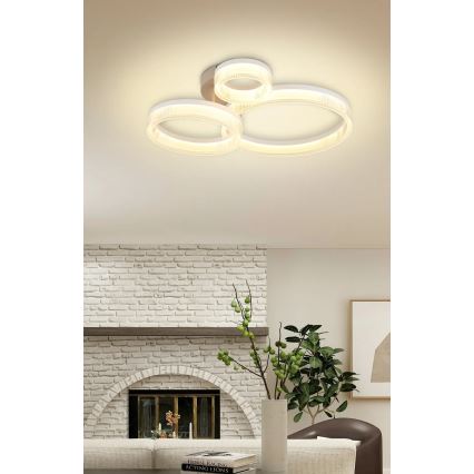 Globo - LED-kattovalaisin LED/24W/230V 3000K 40,5x51 cm