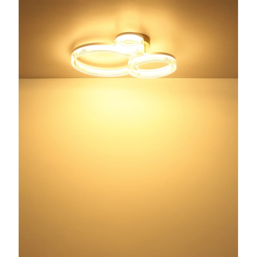 Globo - LED-kattovalaisin LED/24W/230V 3000K 40,5x51 cm