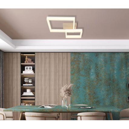 Globo - LED-kattovalaisin LED/24W/230V 3000K 46,5x62,5 cm