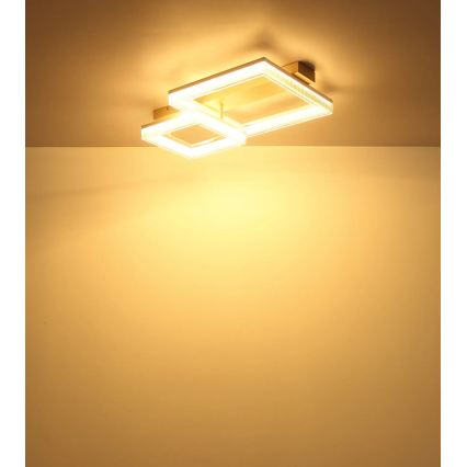 Globo - LED-kattovalaisin 24 W/230 V 3000 K 33 x 53 cm