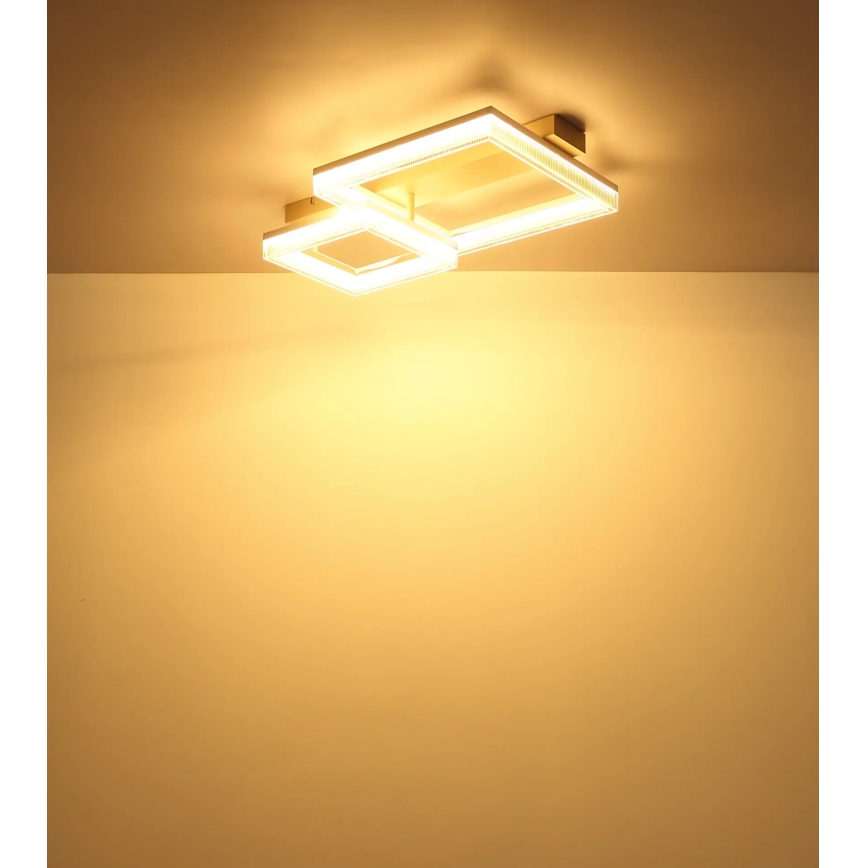 Globo - LED-kattovalaisin 24 W/230 V 3000 K 33 x 53 cm