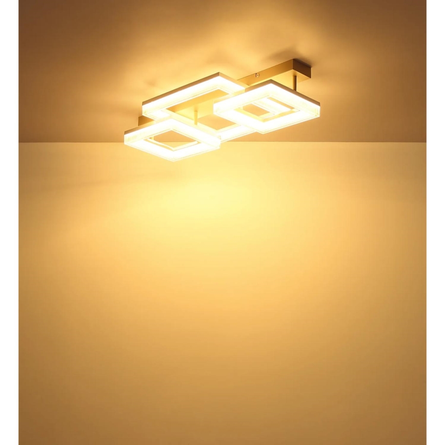 Globo - LED kattovalaisin LED/40W/230V 3000K 33x66 cm