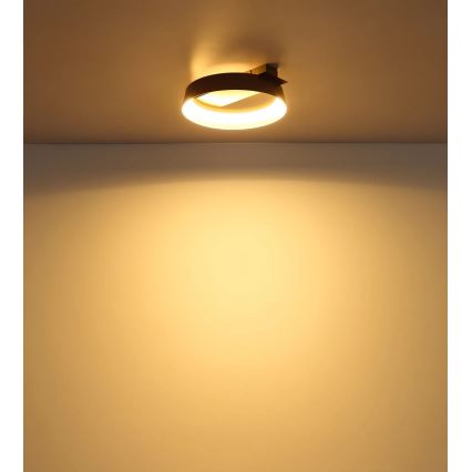 Globo - LED kattovalaisin LED/12W/230V 3000K 26x25 cm