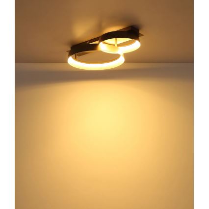 Globo - LED-kattovalaisin LED/24W/230V 3000K 50x35 cm