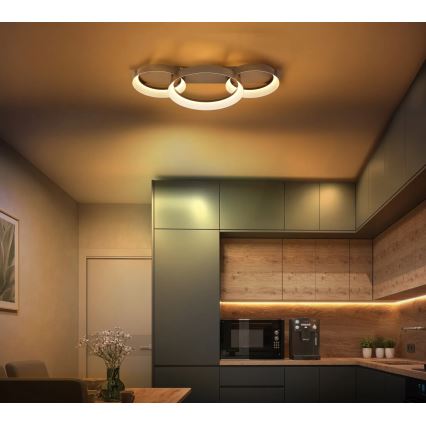 Globo - LED kattovalaisin LED/40W/230V 3000K 70x35 cm