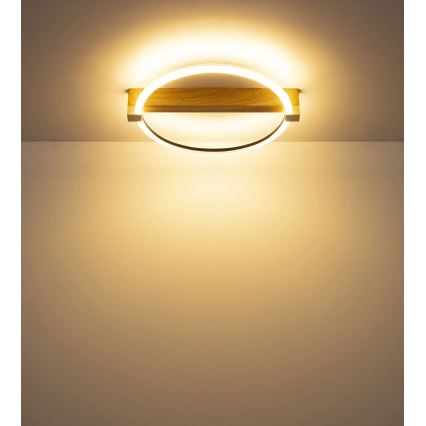Globo - LED kattovalaisin LED/15W/230V 3000K 41,4x38 cm beige