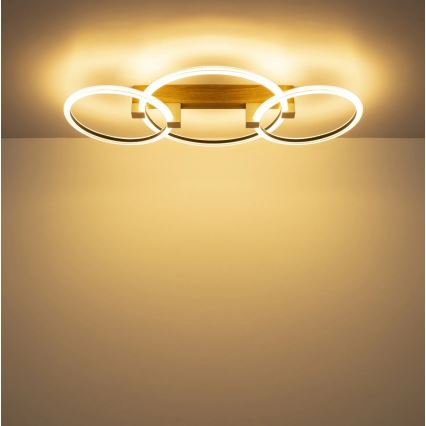 Globo - LED-kattovalaisin LED/40W/230V 3000K 76,1x38 cm ruskea
