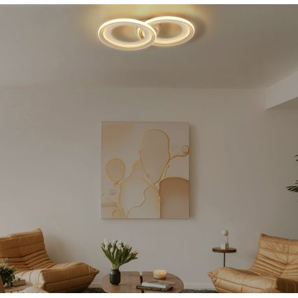 Globo - LED-kattovalaisin 30W/230V 3000K 31,5x52,5 cm