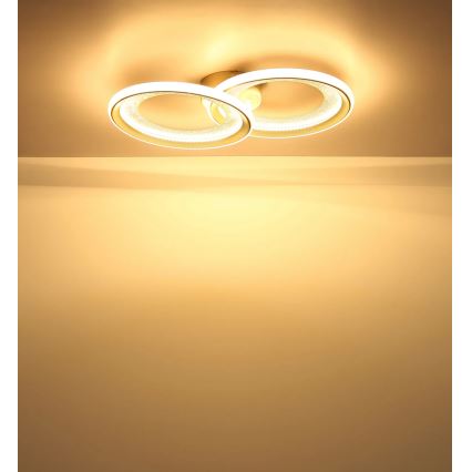 Globo - LED-kattovalaisin 30W/230V 3000K 31,5x52,5 cm
