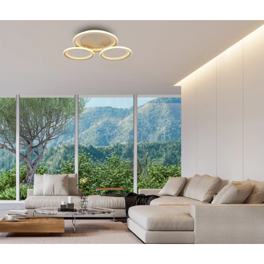 Globo - LED-kattovalaisin LED/40W/230V 3000K 60,5x62,5 cm