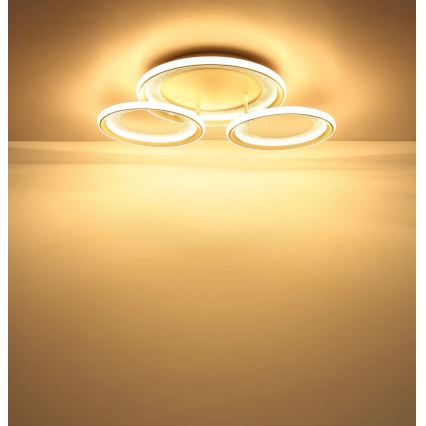 Globo - LED-kattovalaisin LED/40W/230V 3000K 60,5x62,5 cm
