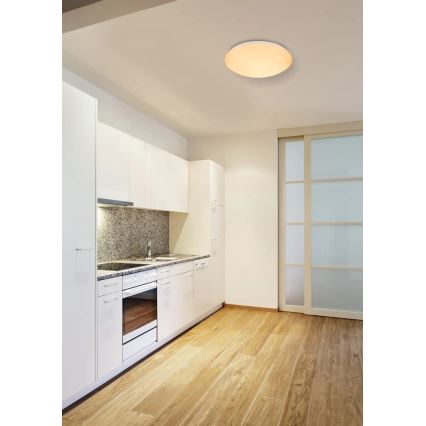 Globo - LED RGB himmennettävä kattovalaisin LED/24W/230V + LED/8W 2700-6500K halkaisija 41 cm + kaukosäädin
