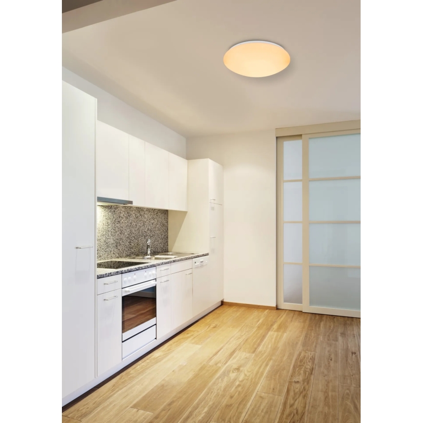 Globo - LED RGB himmennettävä kattovalaisin LED/24W/230V + LED/8W 2700-6500K halkaisija 41 cm + kaukosäädin