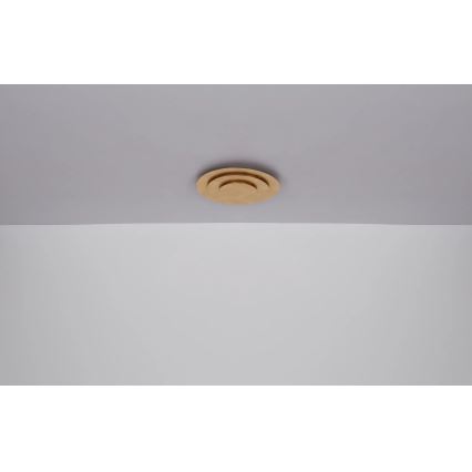Globo - LED-kattovalaisin LED/40W/230V 3000K halkaisija 49 cm kullanvärinen