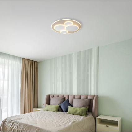 Globo - LED-kattovalaisin LED/40W/230V 3000K halkaisija 49 cm