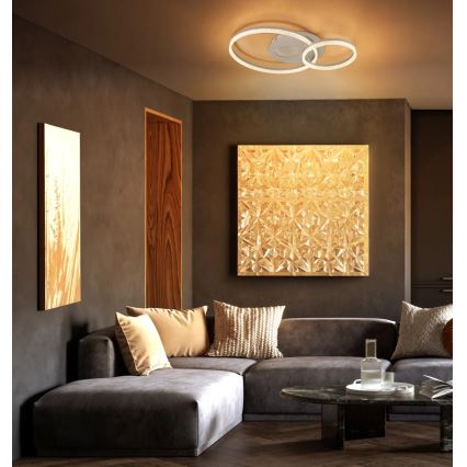 Globo - beige LED-kattovalaisin LED/30W/230V 3000K 70x50 cm
