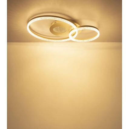 Globo - beige LED-kattovalaisin LED/30W/230V 3000K 70x50 cm
