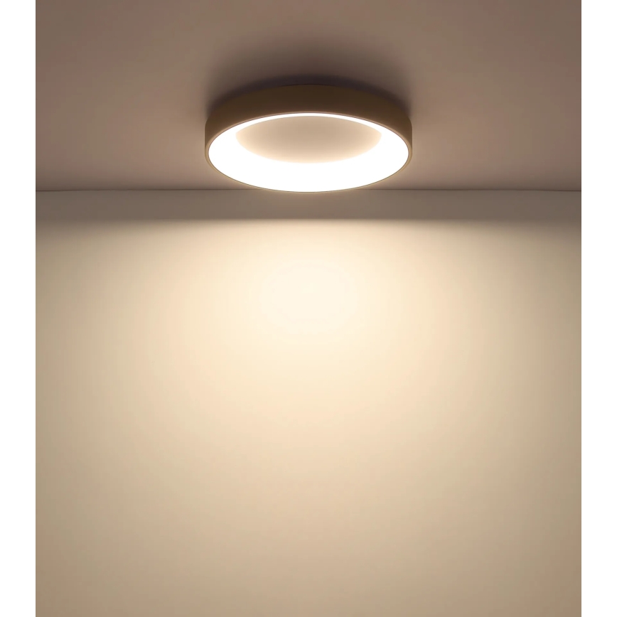 Globo - Himmennettävä LED-kattovalaisin LED/48W/230V 2700-6000K halkaisija 50 cm + kaukosäädin